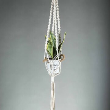 Half Spiral Hanging