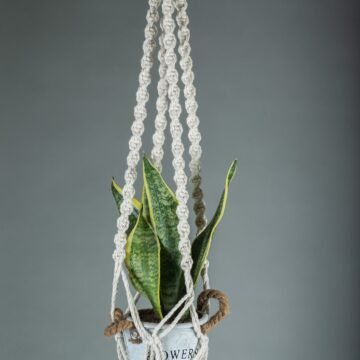 Half Spiral Hanging - 2