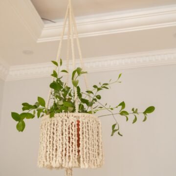 Circle Hanging