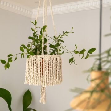 Circle Hanging - 2
