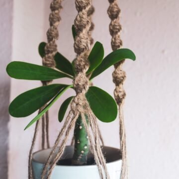 Mixed Pattern Jute Hanging - 2