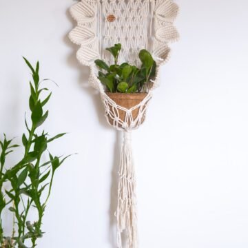 Flower Hanging - 2