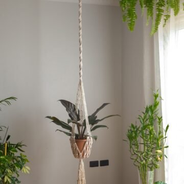 Long Half Spiral Hanging