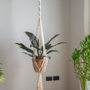 Long Half Spiral Hanging - 2