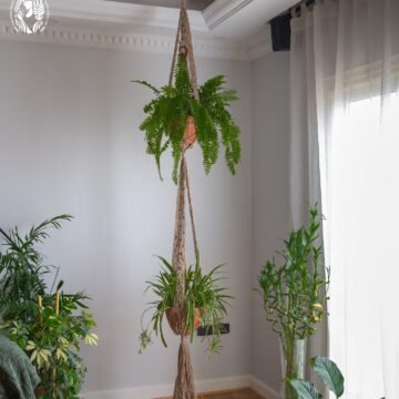 Hanger Plant Two Level