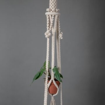 Shelf Hanging - 2